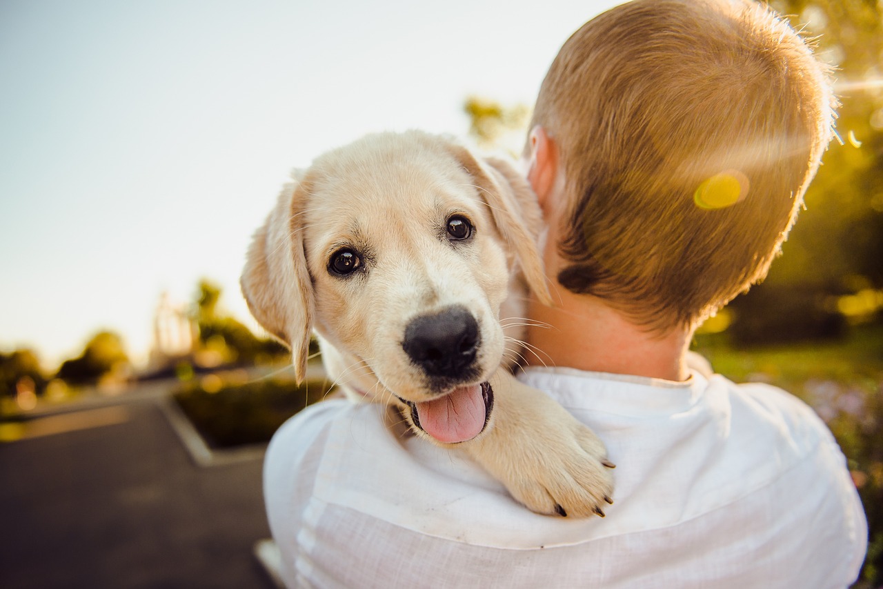Mahanje repom kod pasa: Ne znači da su nužno sretni što vas vide