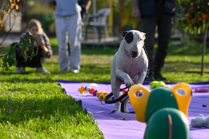 Udruga Indigo misli i o onima koji i dalje čekaju: ‘Nek se i njihov glas čuje’